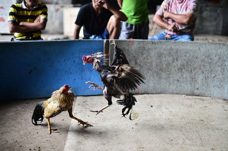 Chọn địa điểm và sân đấu phù hợp